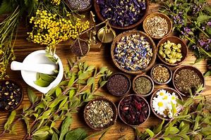 Bí Quyết Sử Dụng Thảo Dược Gia Truyền Trong Chăm Sóc Sức Khỏe