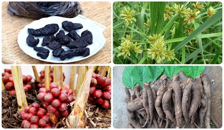 Tại Sao Thảo Dược Gia Truyền Được Coi Là “thuốc Nam” Của Người Việt?
