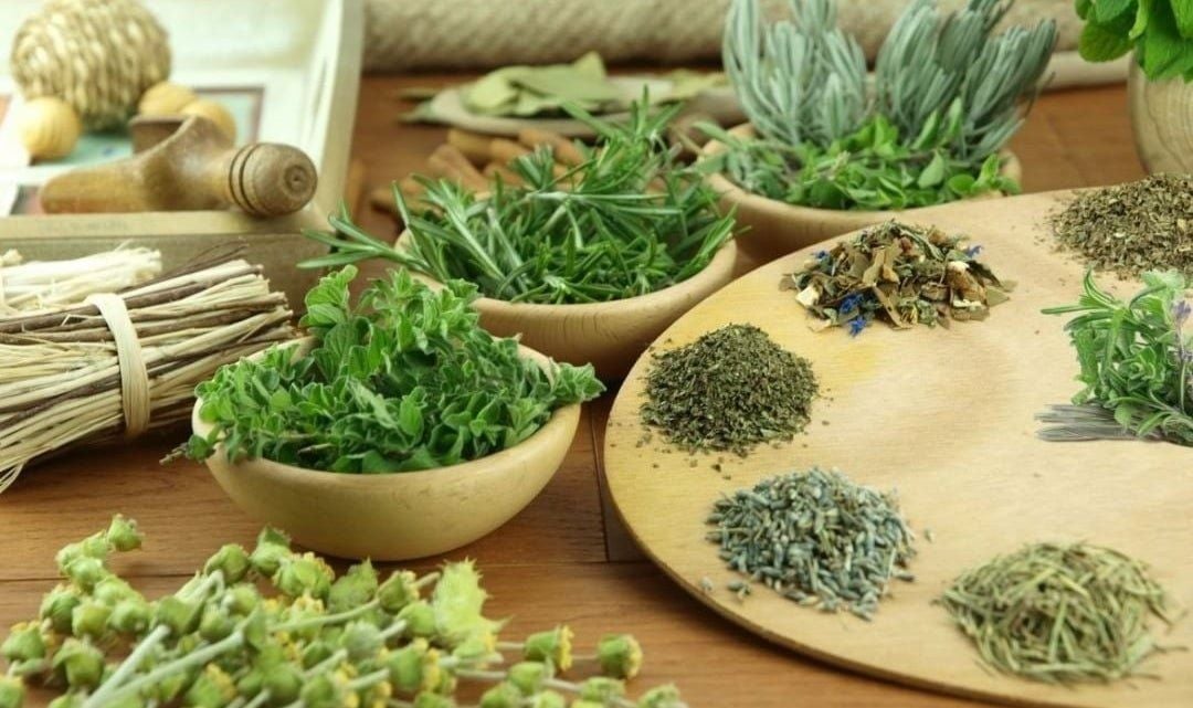 Bí Quyết Kết Hợp Thảo Dược Trong Chăm Sóc Sức Khỏe Tại Nhà
