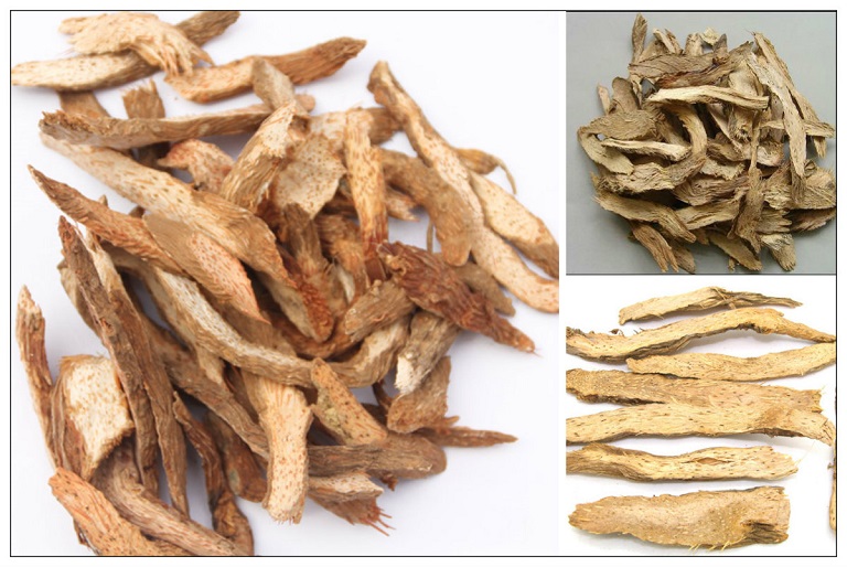 Top 5 Thảo Dược Gia Truyền Hỗ Trợ Điều Trị Đau Nhức Xương Khớp Hiệu Quả