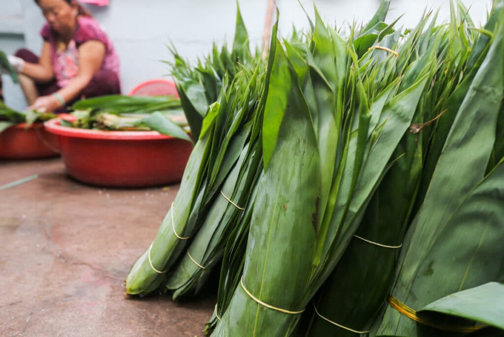 Lá tre: Vị thuốc dân gian quen thuộc mà bạn không thể bỏ qua
