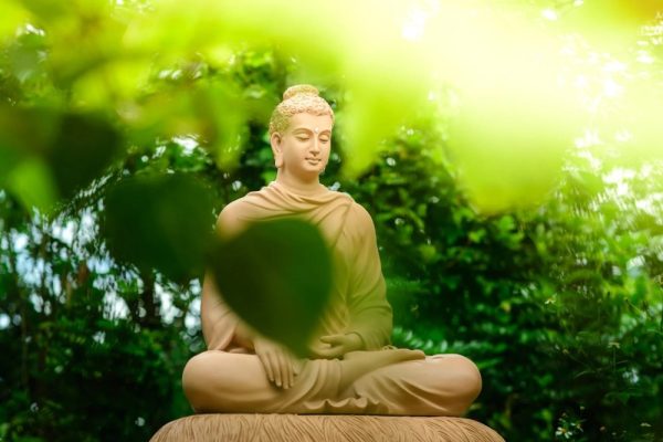 Luật Nhân Quả Trong Đạo Phật: Hiểu đúng Sống Tốt 