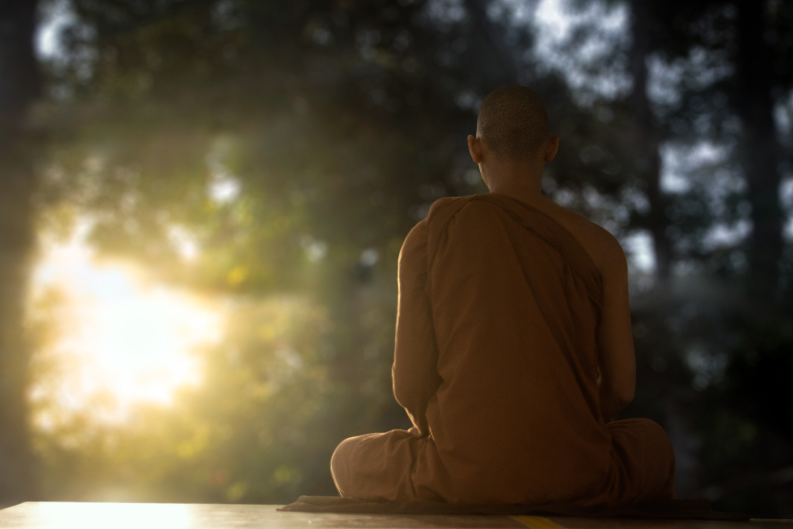Tại sao giác ngộ đều là “bỗng nhiên”? | Phật giáo Việt Nam
